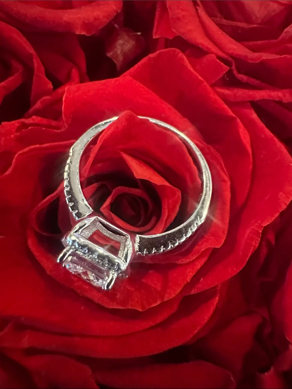 Cushion Halo Solitaire Ring in 925 Silver with Clear Center Stone